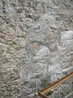 coolross 1840.jpg